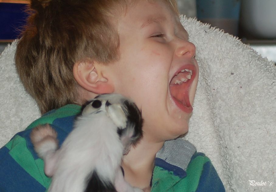 Poulot's Fleur De -Lis