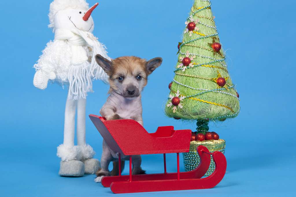 Touch Beauty Torrent Of Emotions