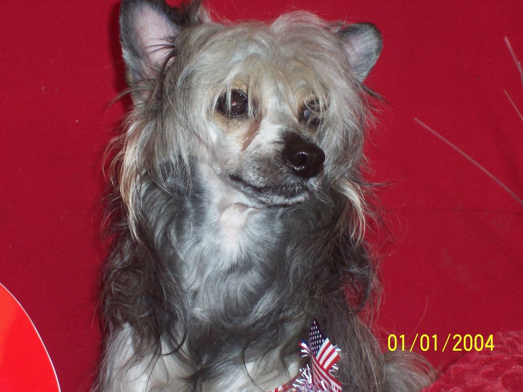 Royals Crystal Winter Princess