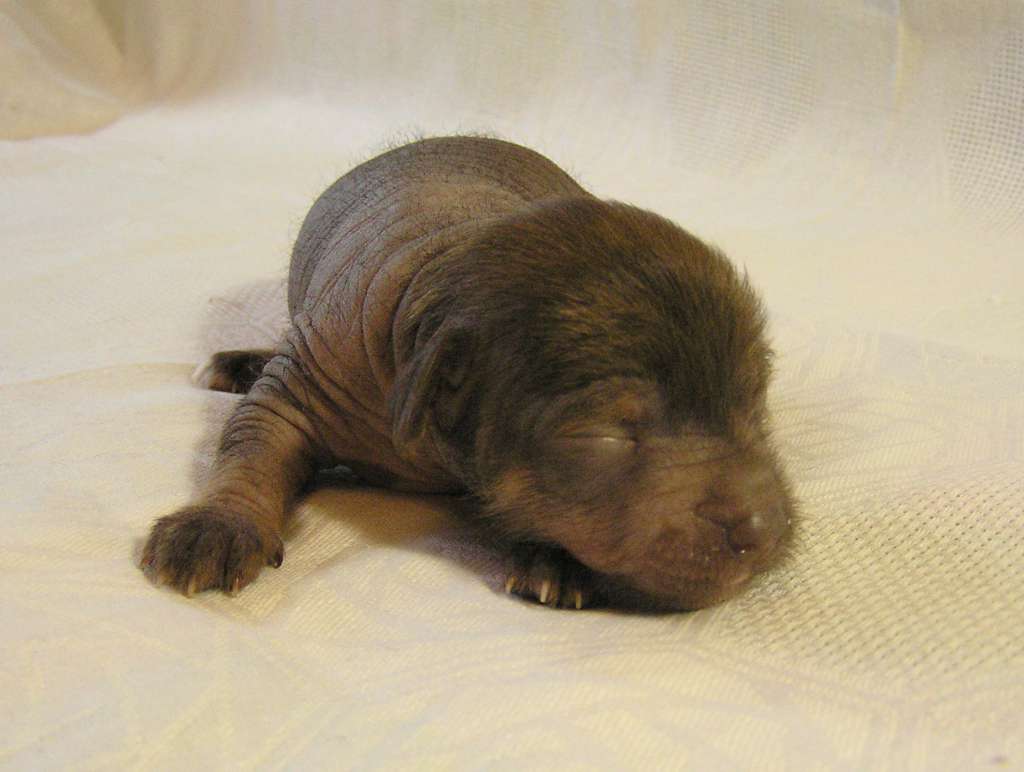 Picture