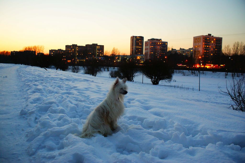 Gidaori Onward Movement