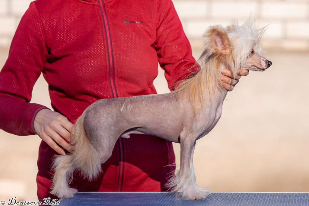 Art Rebellion Be Mine For Wine