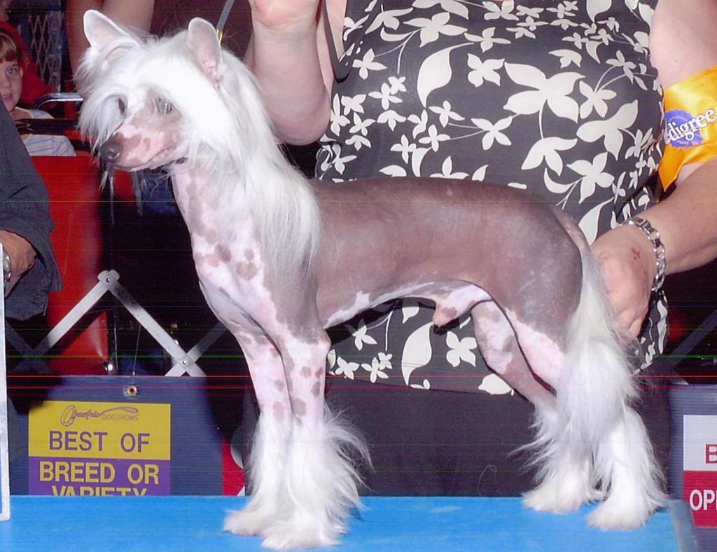 Cabaret's Bam Bam Out Go The Lights