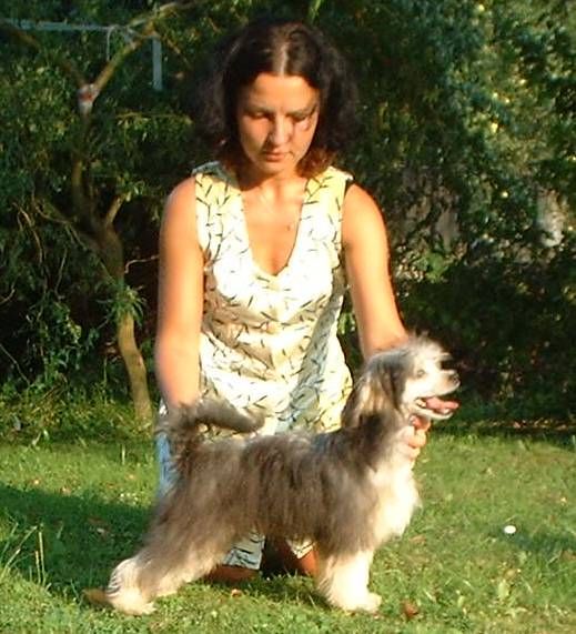 Gejsha z Jasne hvezdy