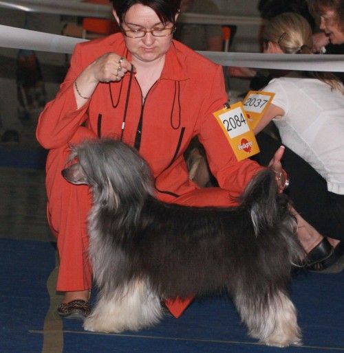 Nounours Bouba Avokaduh