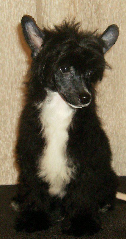 Maju Something To Talk About At Castle Rock