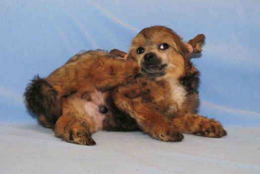 Picture