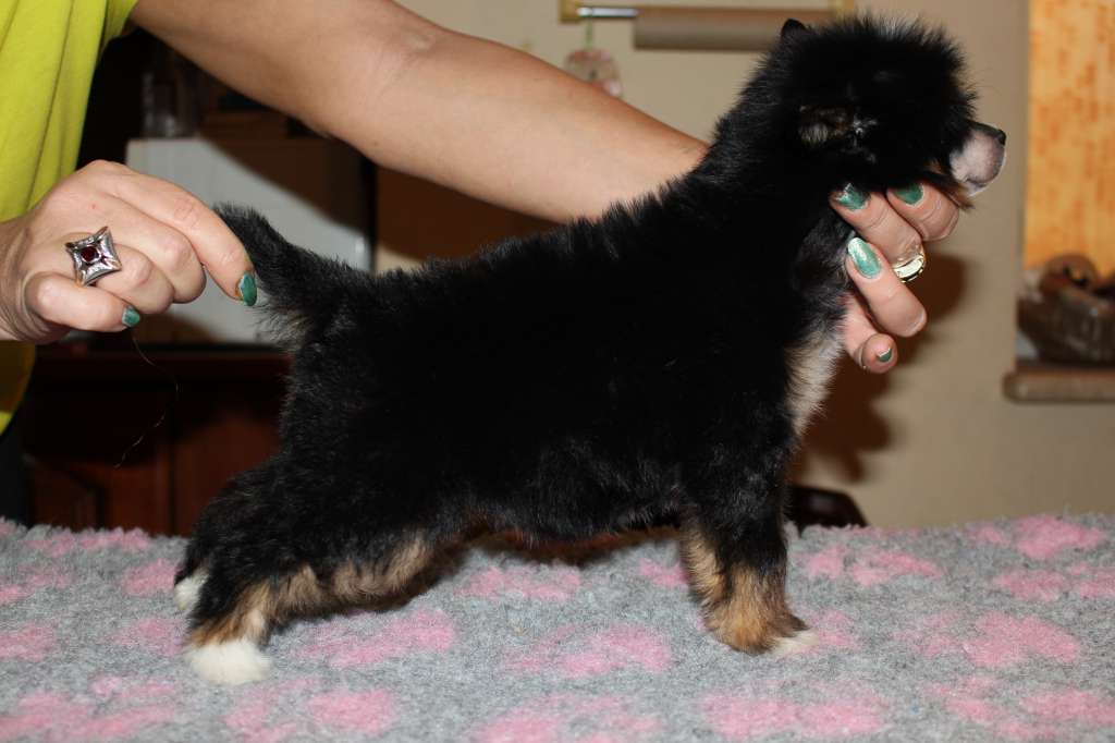 Other Side of Hapinness de Fageiro