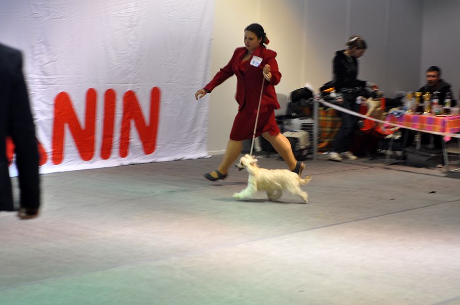 Olegro Katrin Becoming Queen