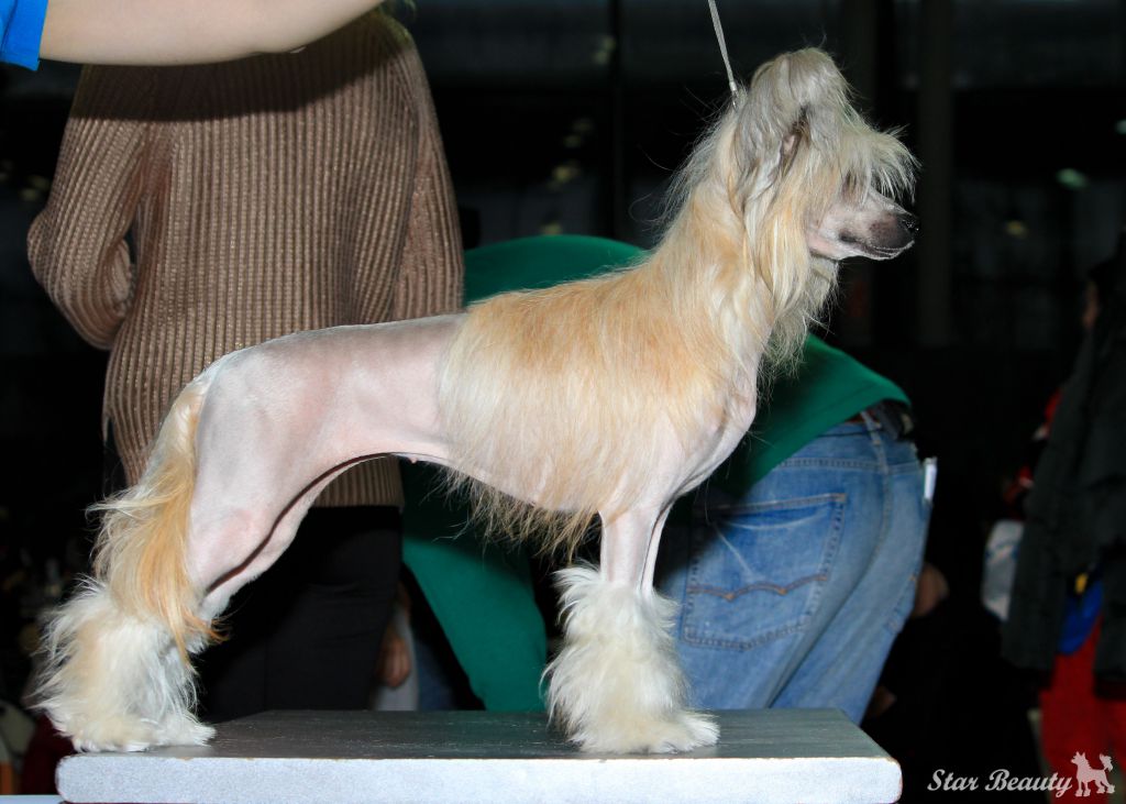 Aura Beauty Sixth Sense 