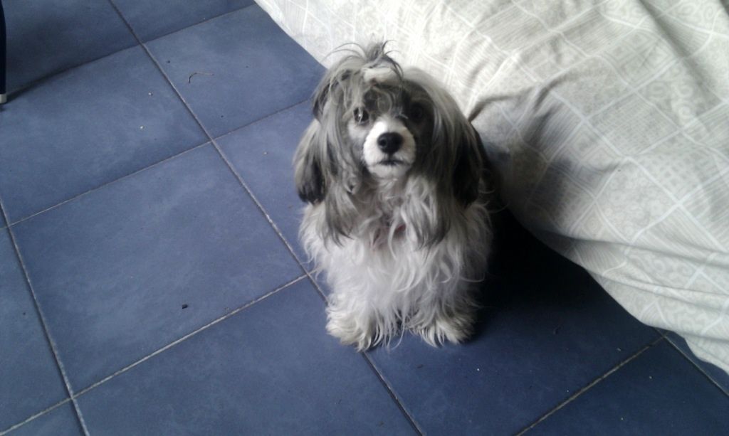 Madame Scream Show de Bullack