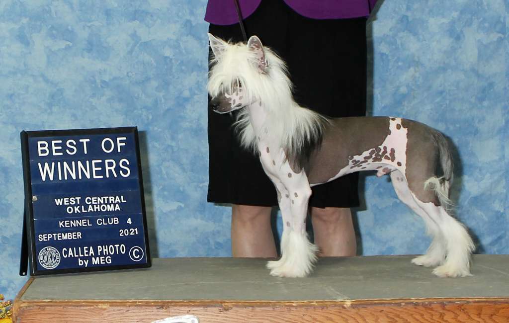 Black's 4-Reil Gone With The Wind