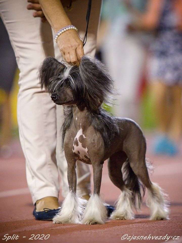 Dance with me Avokaduh