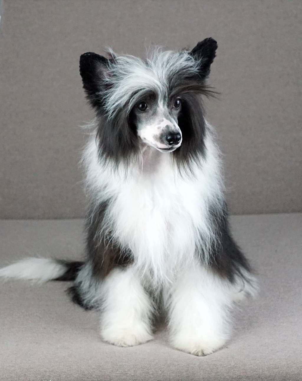 Belg.YCh.Klariti Planet Of Dream