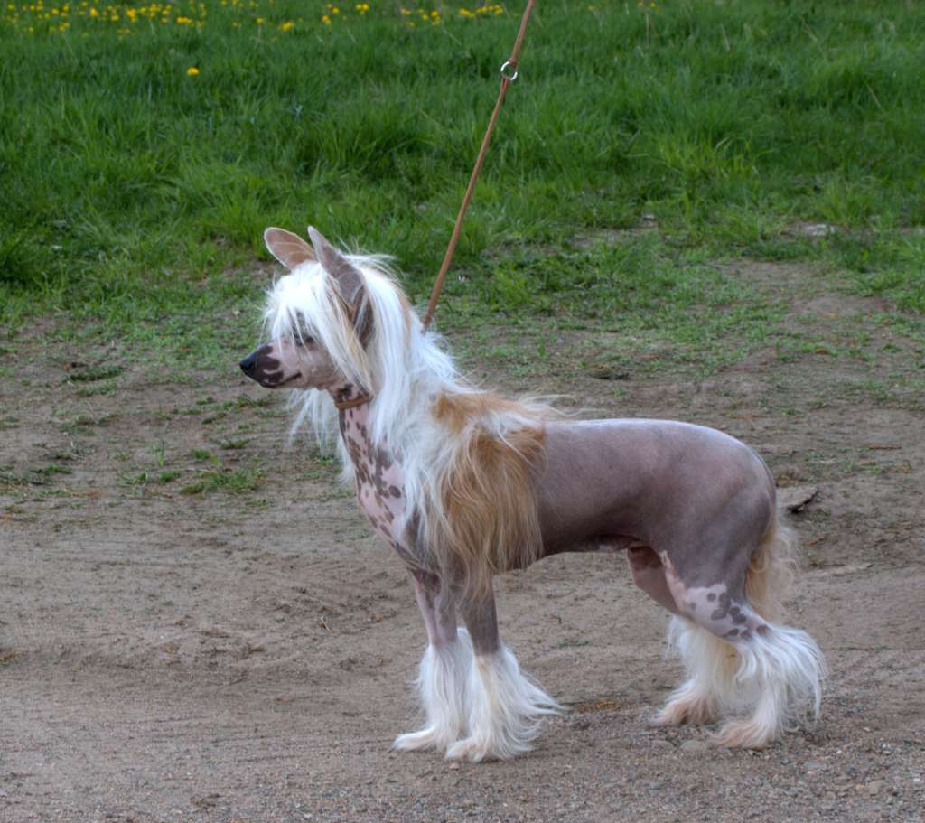 Necku New York Is A Woman