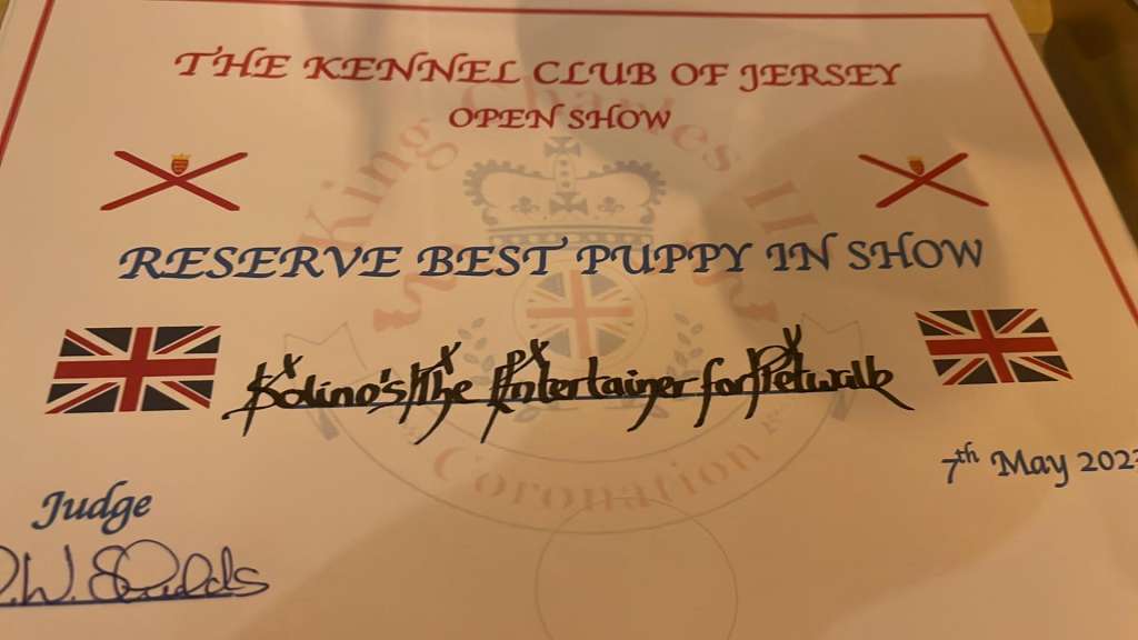 Solino's The Entertainer For Petwalk