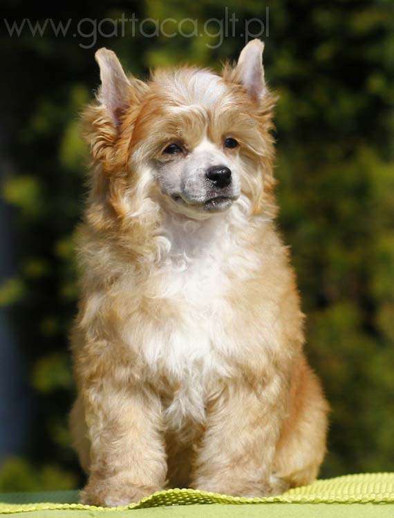 Paco Rabanne Gattaca