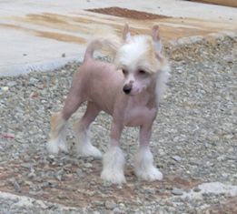 Lady Ml Diamond on the Inside