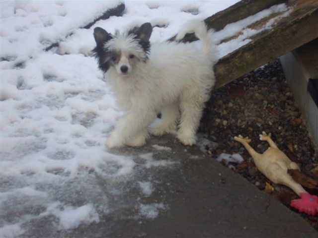 Leader of Fantasy Island