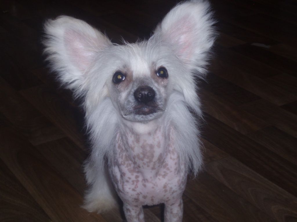 Souldrop Show Me Again