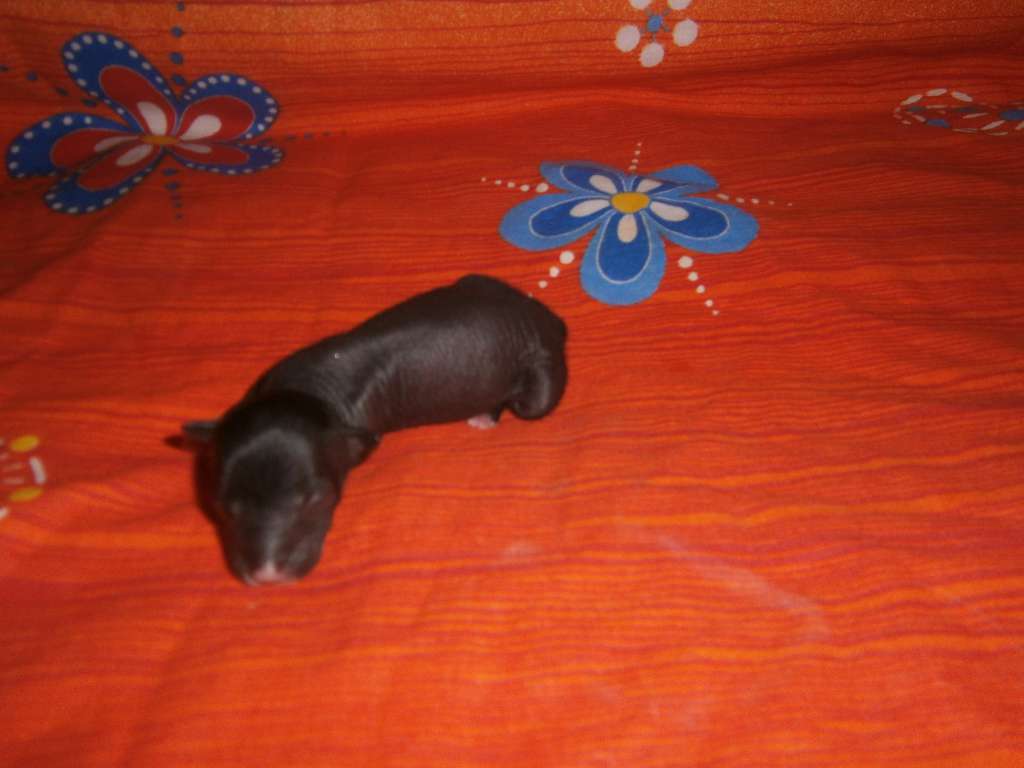 Picture