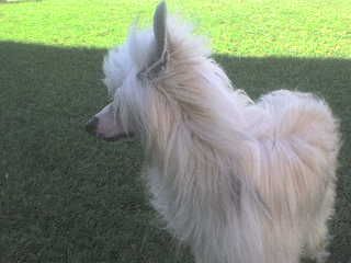 Silver Bluff Spark to a Flame