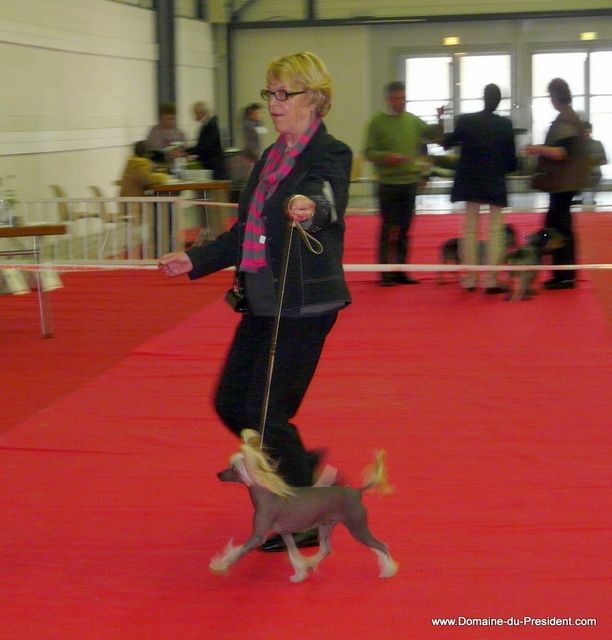 Grubbly-Plank du Domaine du Président