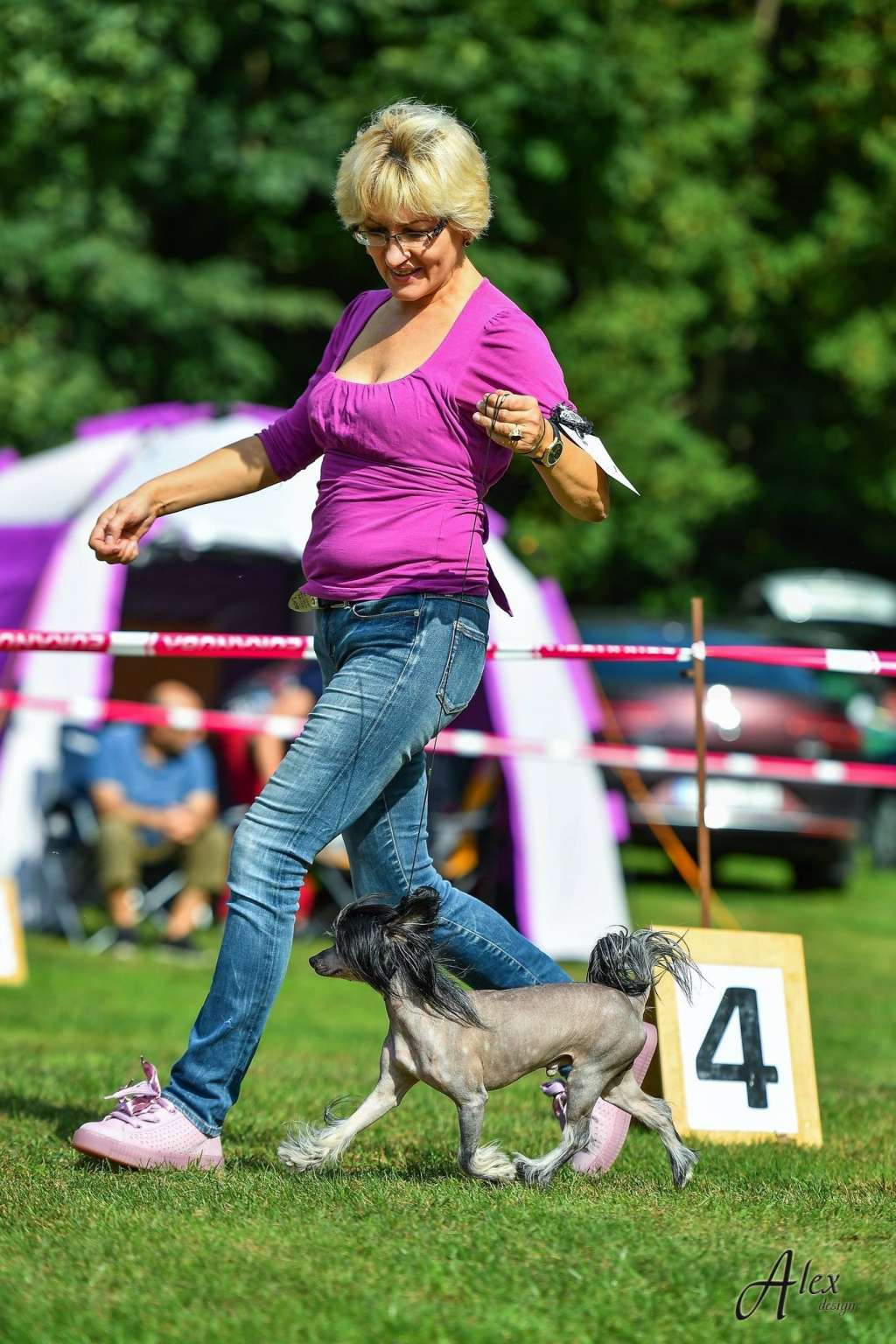 Volangel Classic Black Jack