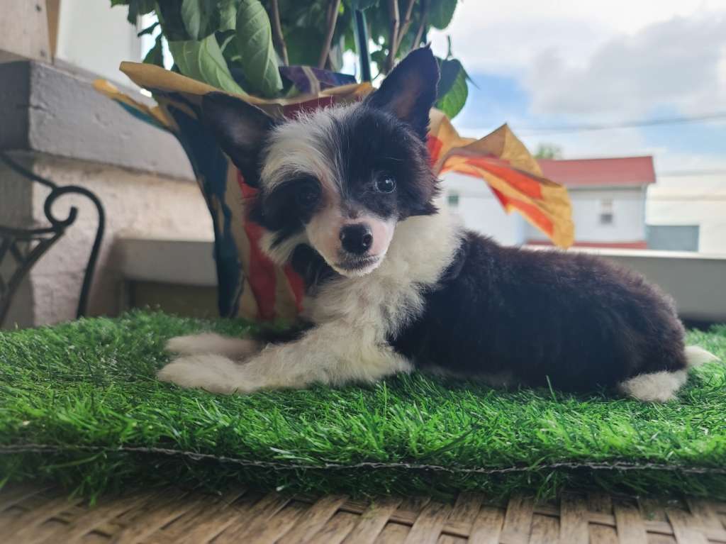 Long Haul's Can U C Me Now