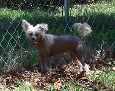 Spiritual Cherished Memories