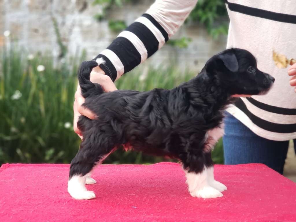 Quinta da Boa Crista James P. Sullivan