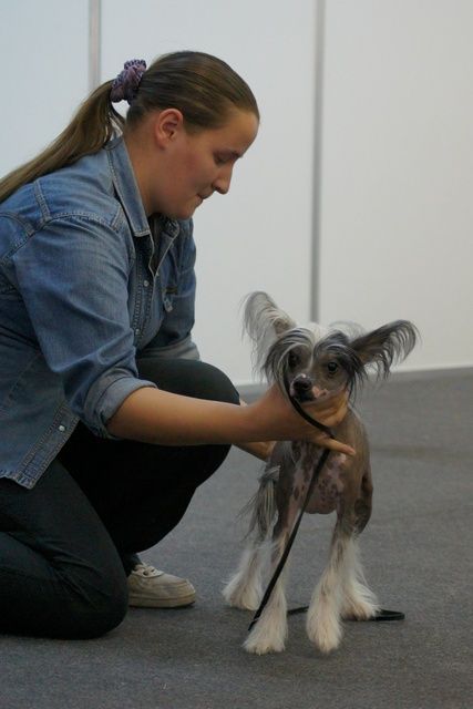 Tamerlan Beshtau Sain Lav