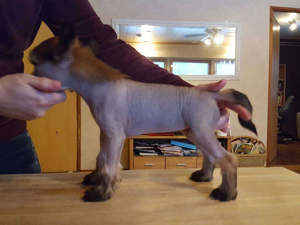 Pinky Twinky Pretty Fly