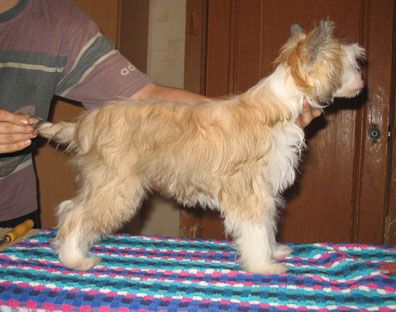 Rus Lorens Ekaterina