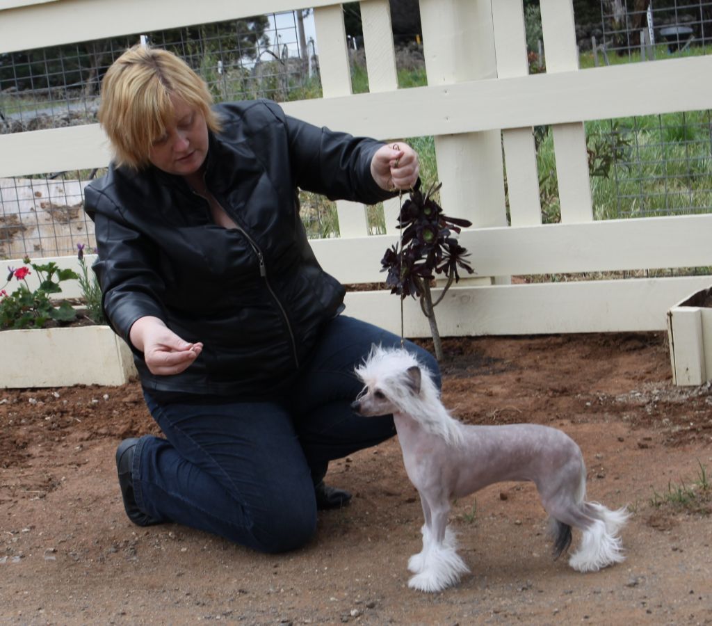 Entourage Edges Of Twilight