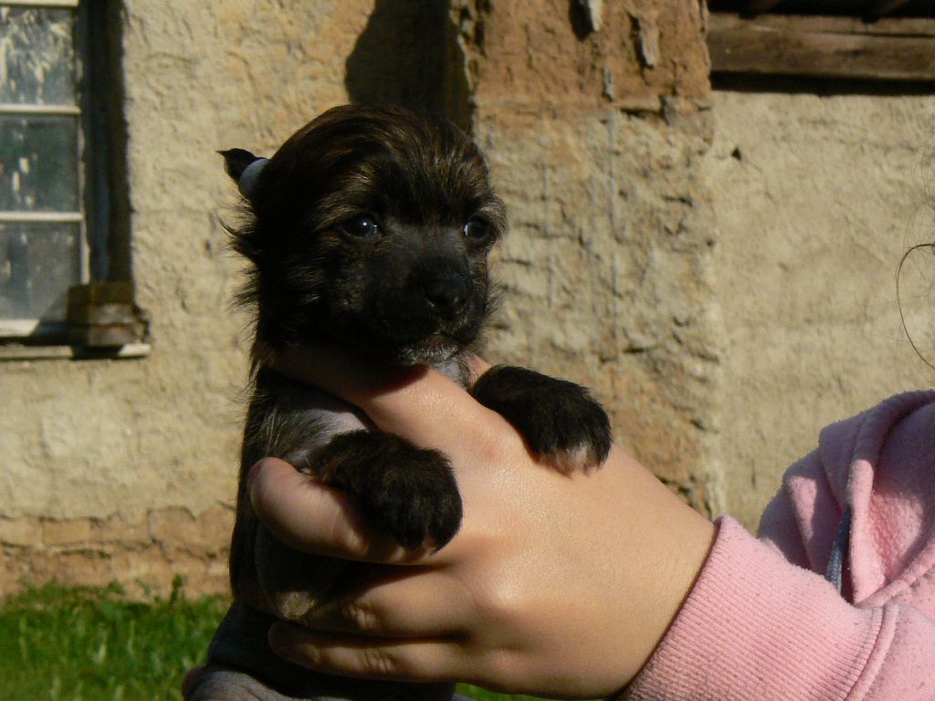 Earl Edward Queen Malverne