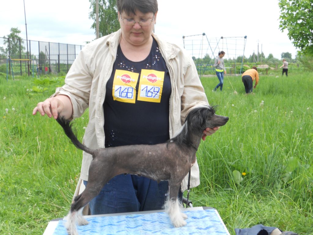 Fancy Style Hennessy