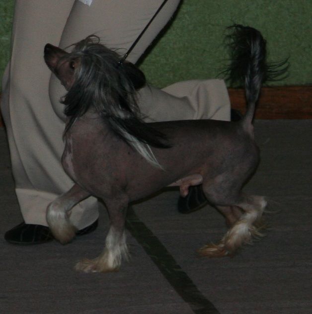 Picture