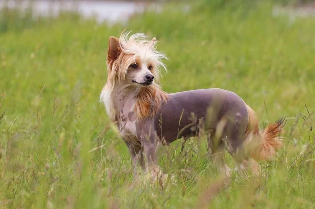 Felici Amici Bella Mia