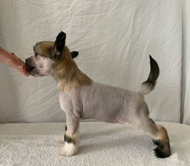 Moelmo's Don't Look Back