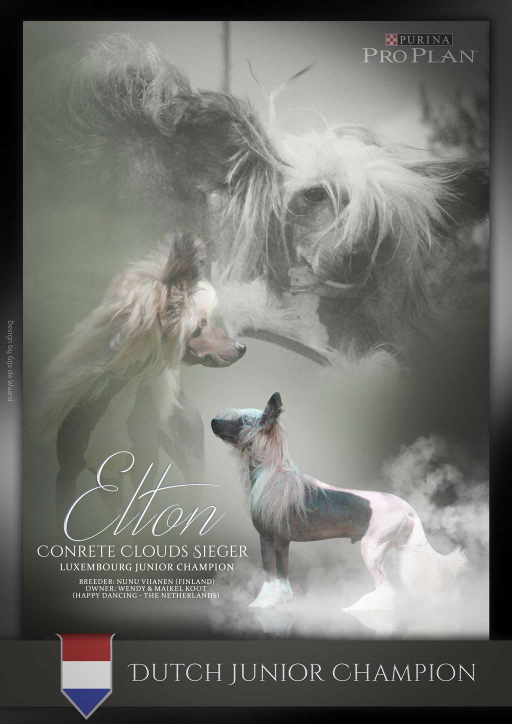 Concrete Clouds Sieger