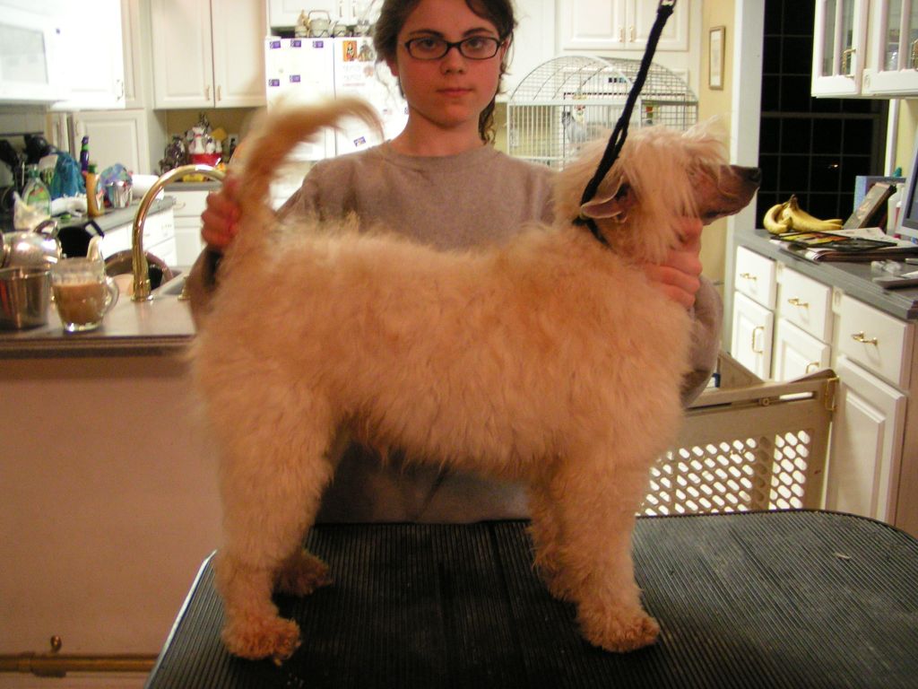 Makara's Tri-Cas Zeus