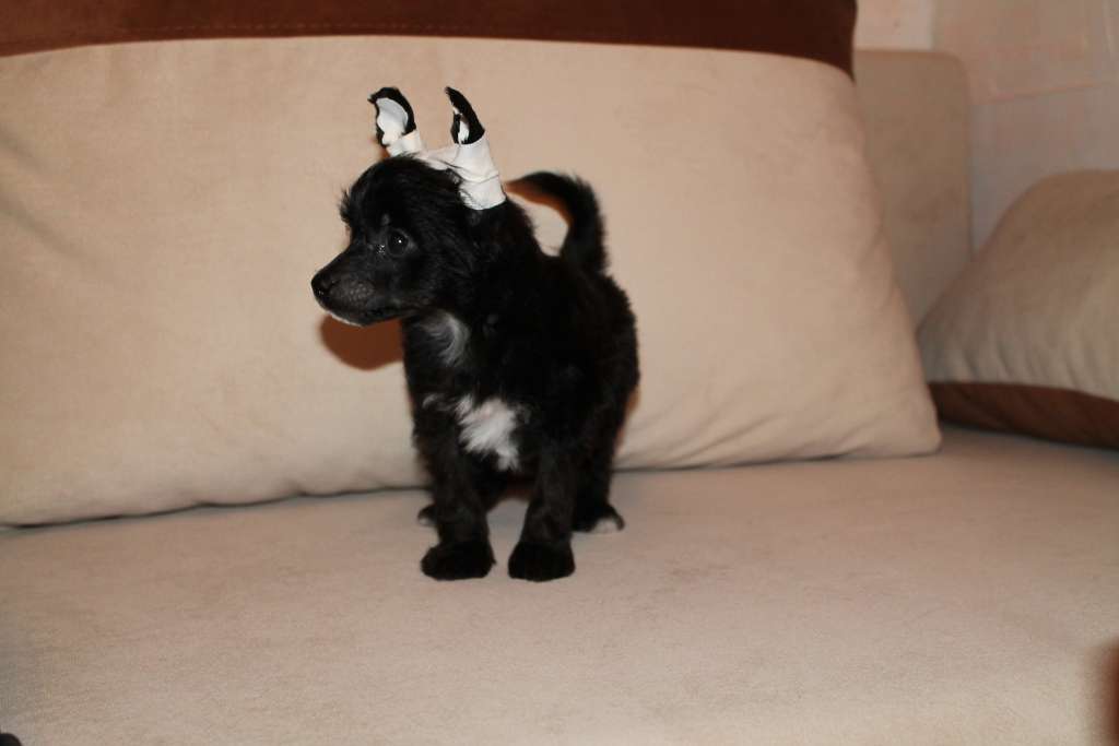 Magnet Success E....