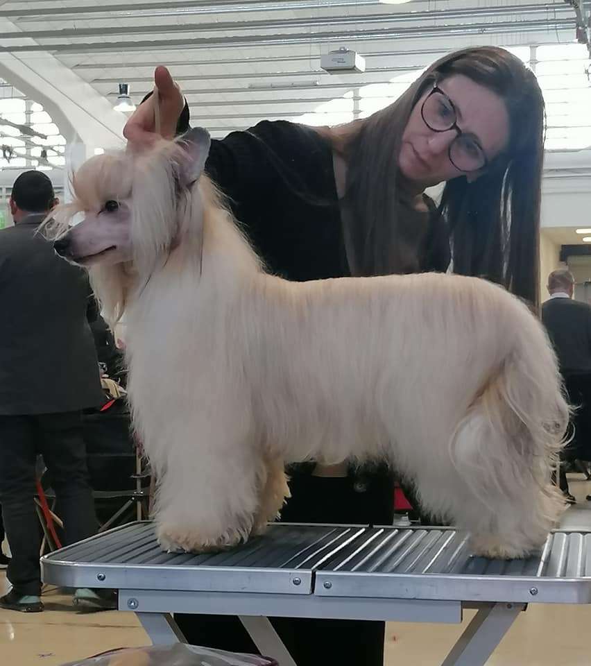 Dakota Rose He's A Heartbreaker