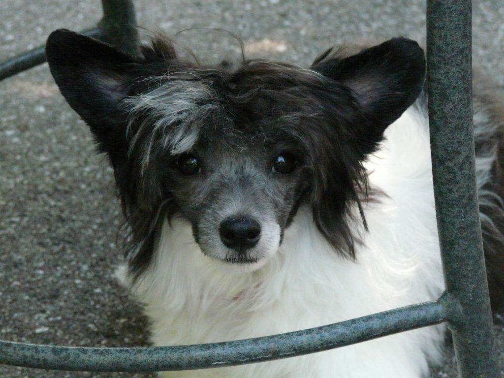 Creekside's Cleopatra