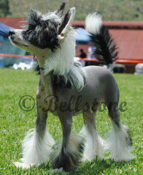 Aurispa Ucanttouchthis