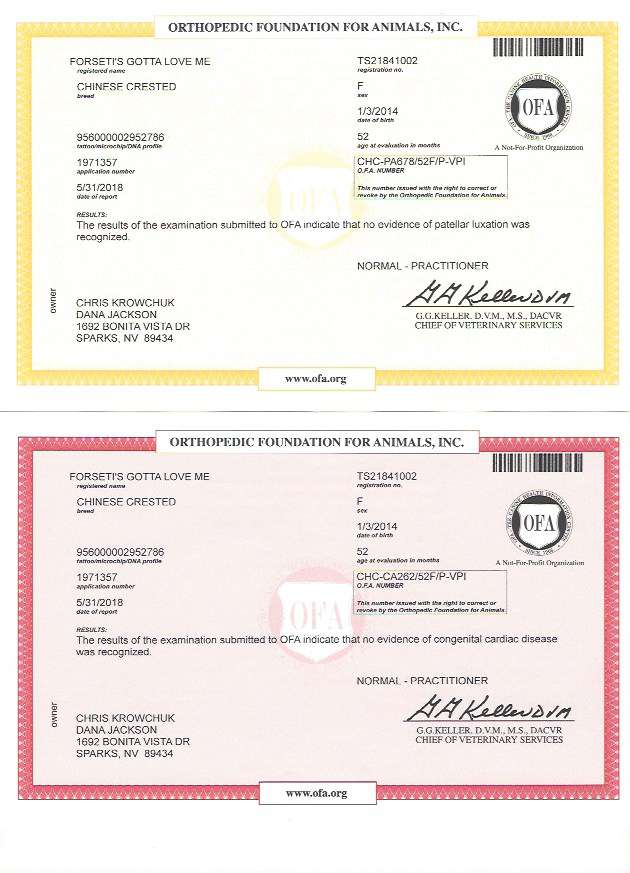 Forseti's Gotta Love Me