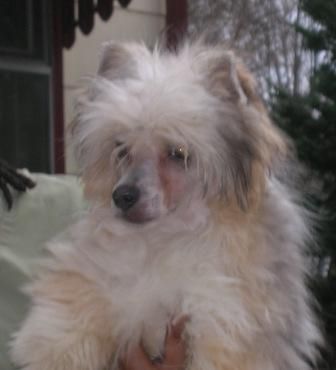 Juvani's Charlie Brown