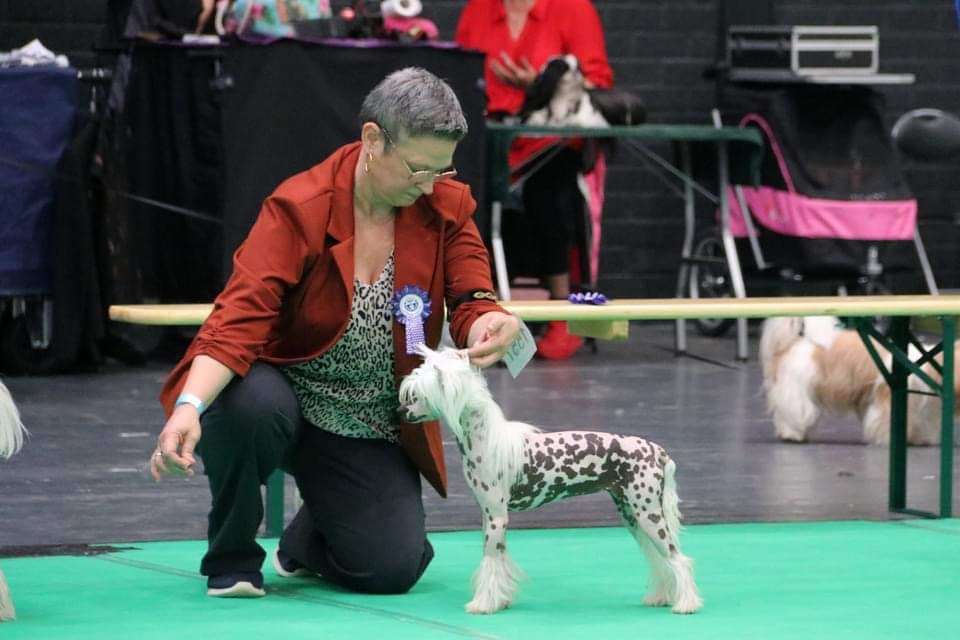 Touch Beauty Unity in Faith