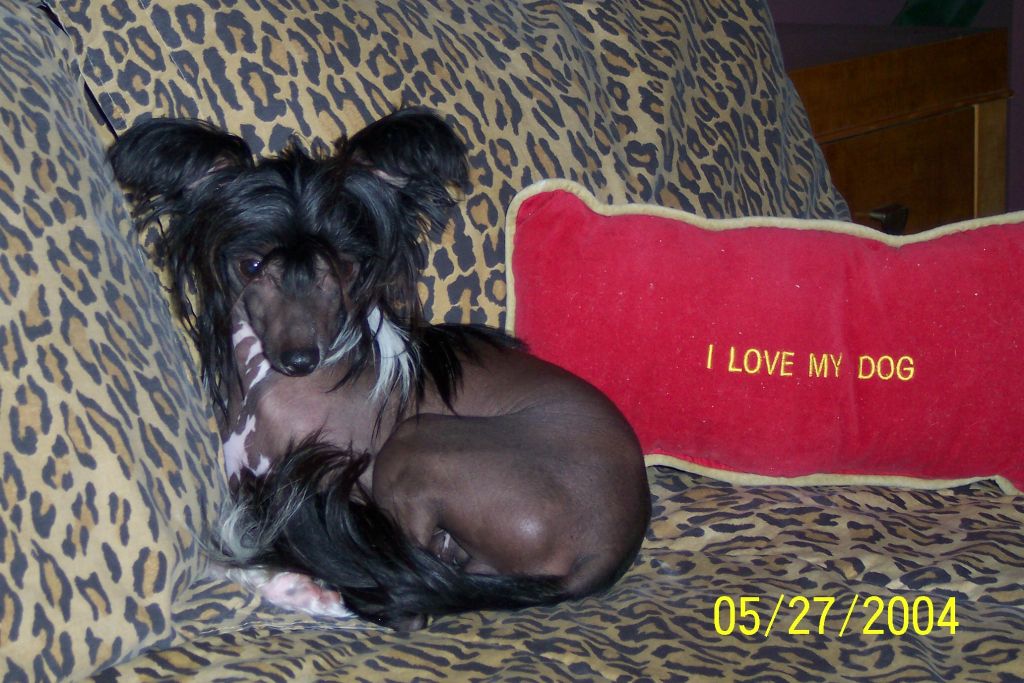 Picture